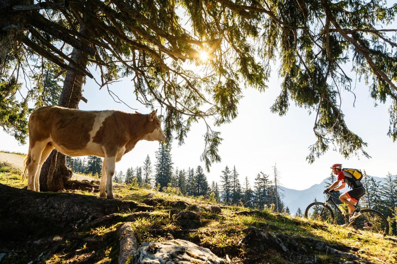 Pension Bergblick Ruhpolding Eksteriør billede